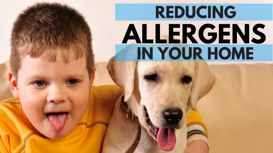 Reducing Allergens In Your Home - Air Systems Inc